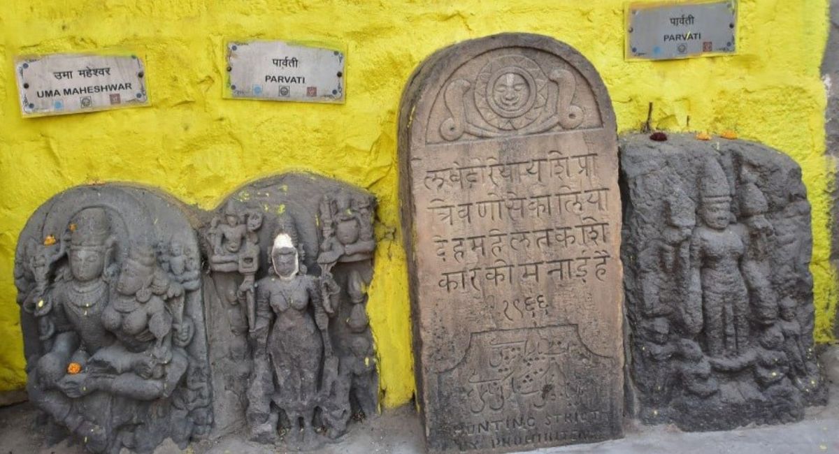 naidunia_image
